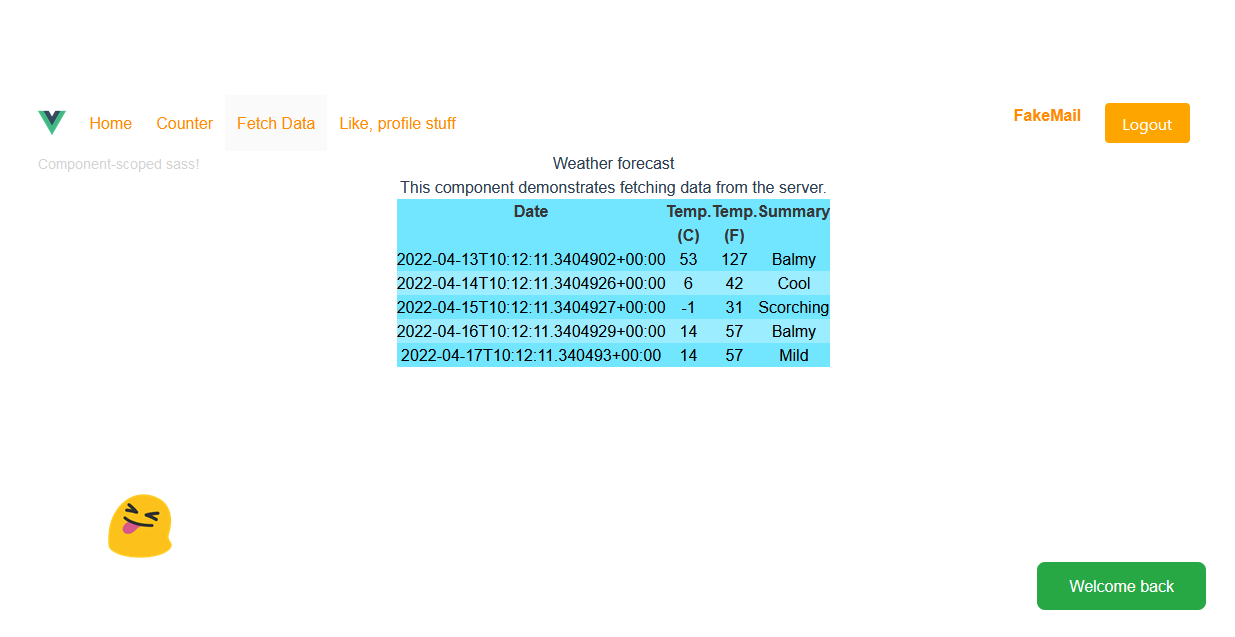Made a new web template for .Net and Vue